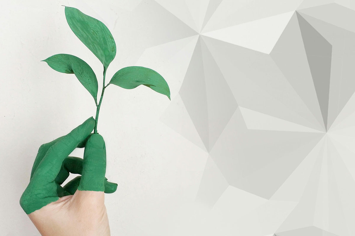 From Ingredients to Impact: How Your Skincare Choices Shape the Planet