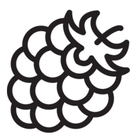 Berry Extract