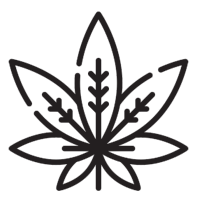 Hemp Seed Oil