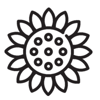Sunflower Oil